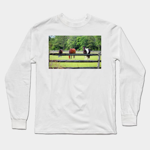 Beautiful Horses In The Pasture Long Sleeve T-Shirt by Cynthia48